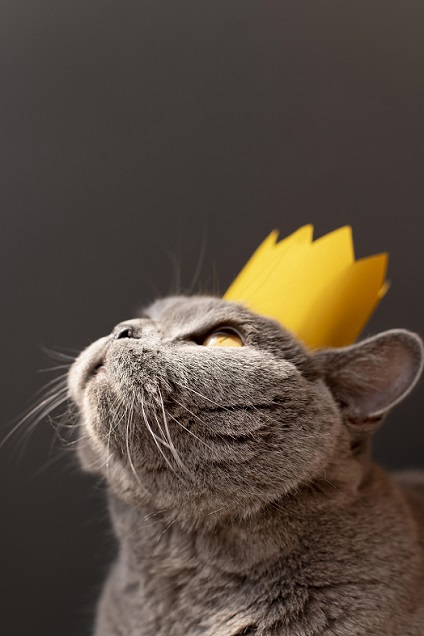 Se muestra un gato con una corona en la cabeza