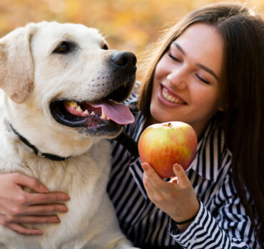 que-frutas-pueden-comer-los-perros