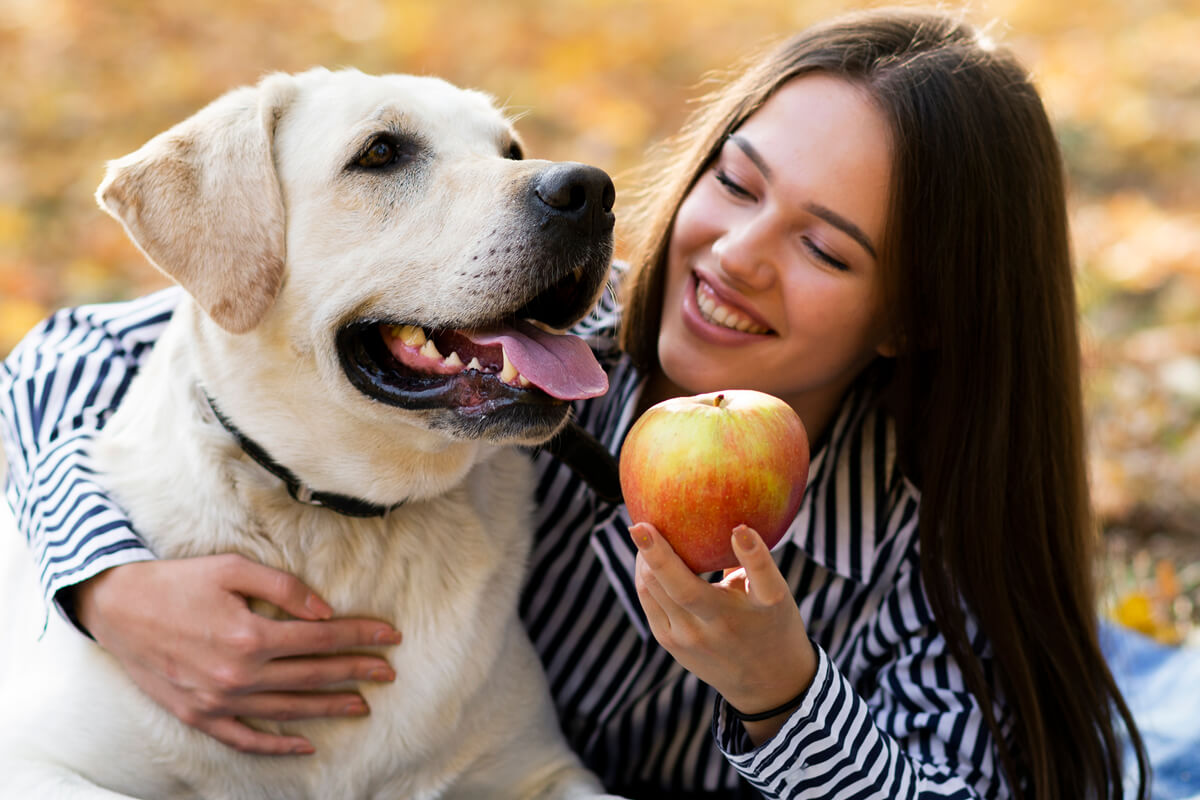 que-frutas-pueden-comer-los-perros